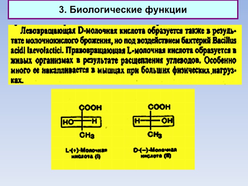 3. Биологические функции